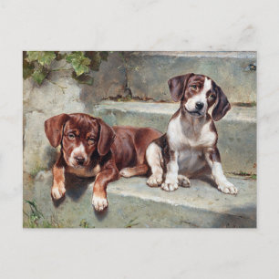 Carte postale de chiots vintage