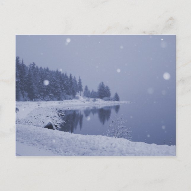 Carte postale de chute de neige au bord de la mer (Devant)