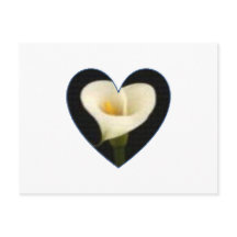 Carte postale de coeur de zantedeschia