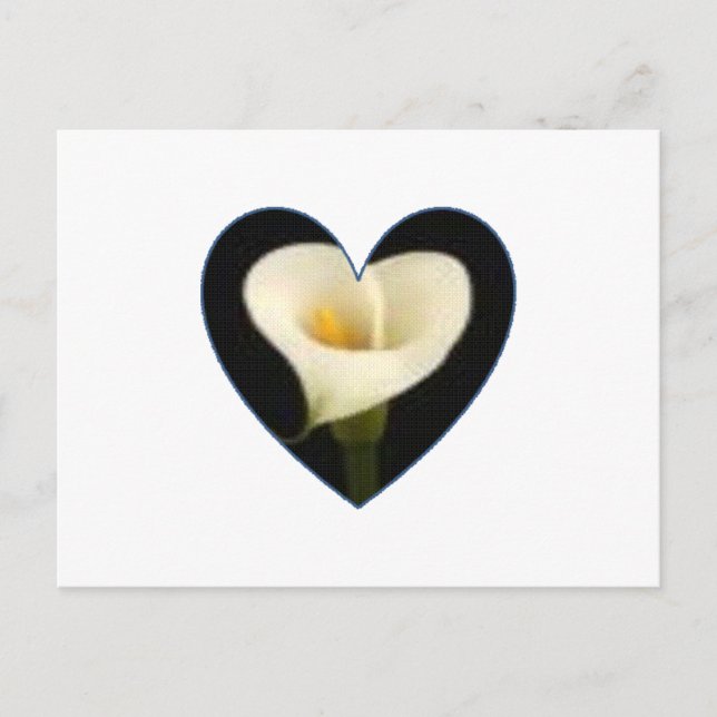 Carte postale de coeur de zantedeschia (Devant)
