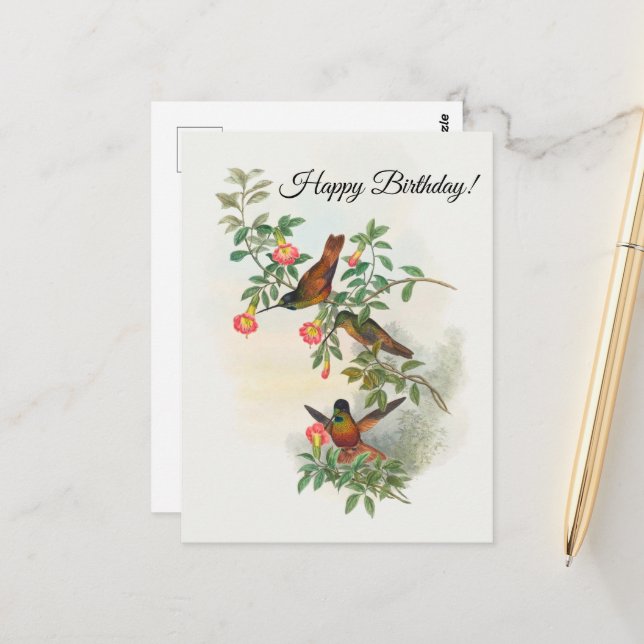 Carte postale de colibri à front d'étoile doré (Devant/Arrière en situation)