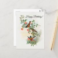 Carte postale de Colibri à front d'or