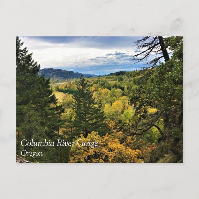 Carte postale de Columbia River Gorge, Oregon (Devant)