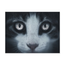 Carte postale de conversation