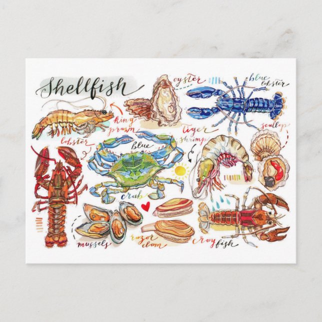 Carte postale de coquillages colorés (Devant)