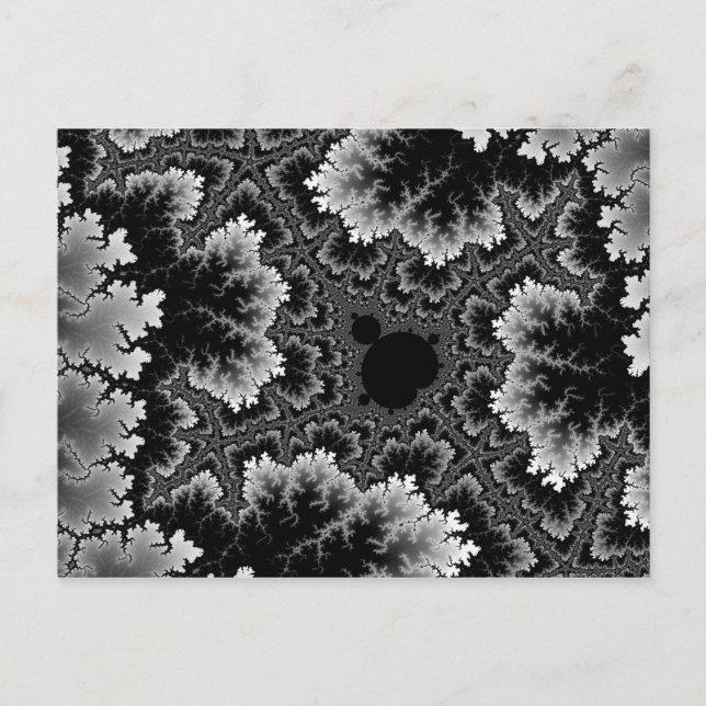 Carte postale de corail blanc (Devant)