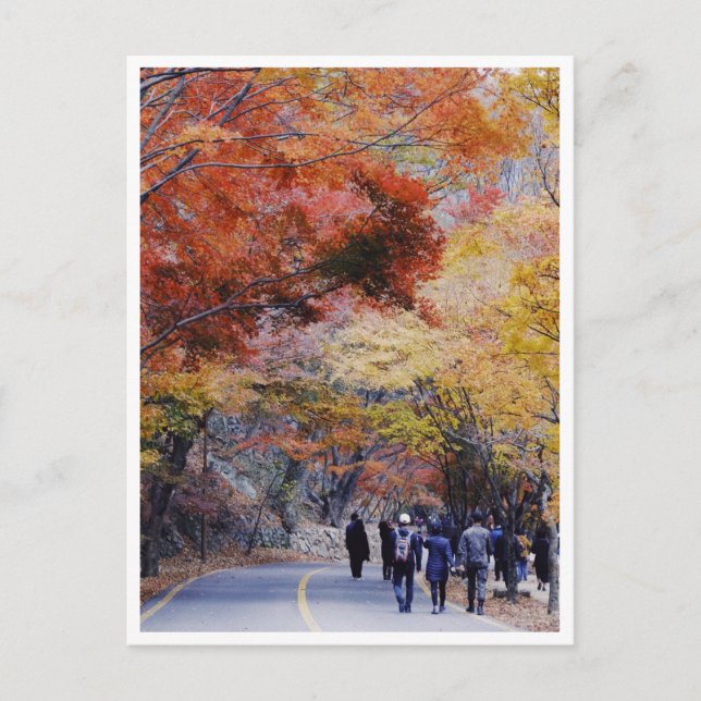 Carte postale de Corée (Devant)