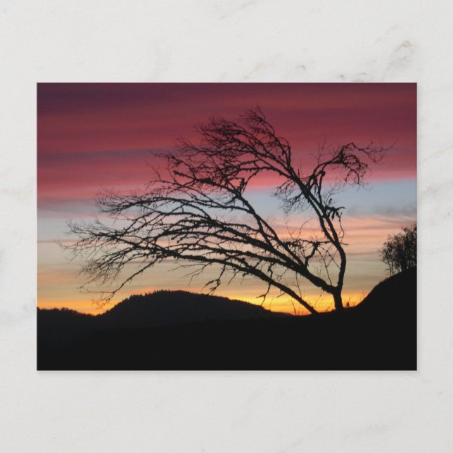 Carte postale de coucher de soleil magnifique (Devant)