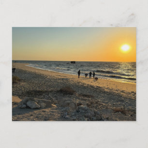 Carte postale de coucher de soleil sur l'océan de