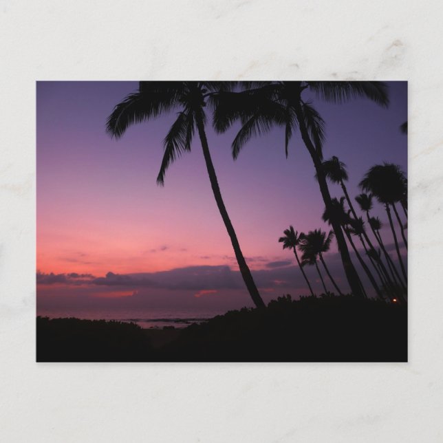 Carte postale de coucher de soleil tropical rose e (Devant)