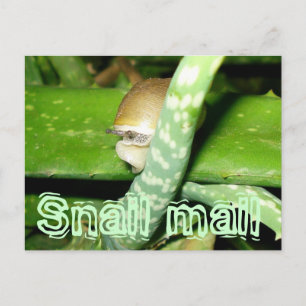 Carte postale de courrier d'escrocs
