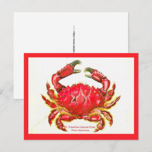 Carte postale de crabe des îles hawaïennes