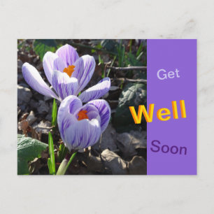 Carte postale de crocus rayés pour un prompt rétab
