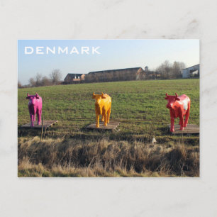 Carte postale de Danemark Vaches Colorées !