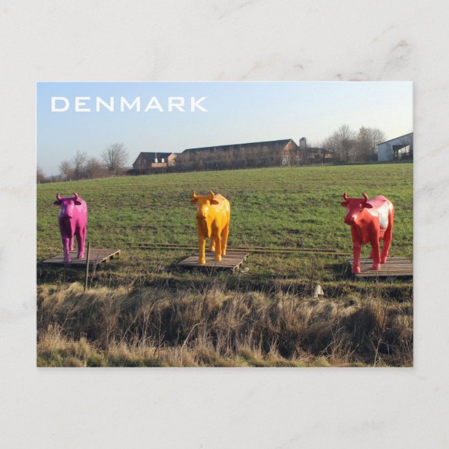 Carte postale de Danemark Vaches Colorées ! (Devant)