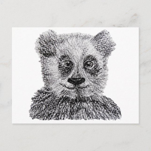 Carte postale de dessin de panda (Devant)