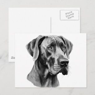 Carte postale de dessin de tête de Grand Danois