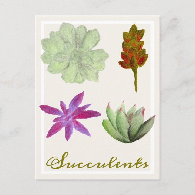 Carte postale de dessins au crayon de plantes gras (Devant)