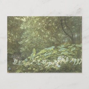 Carte postale de fée de la forêt vintage