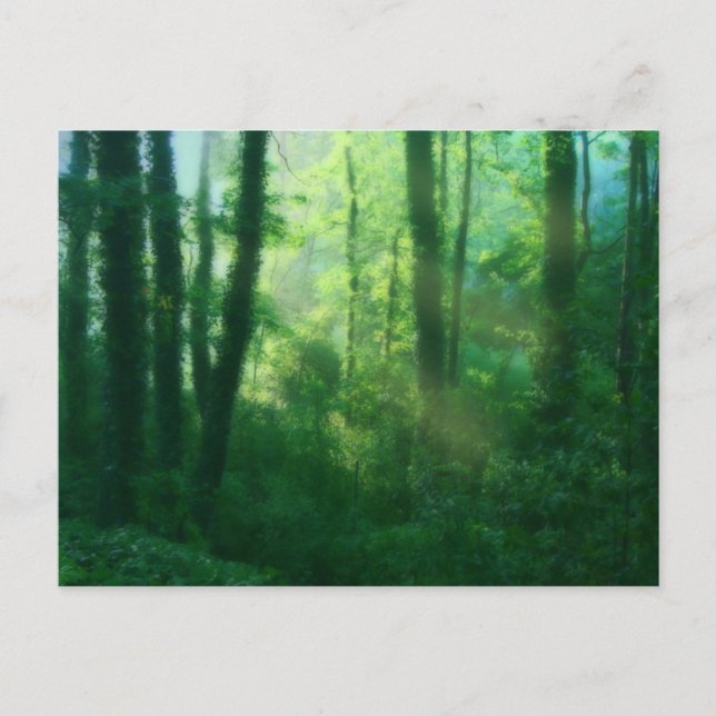 Carte postale de fertilité (Devant)