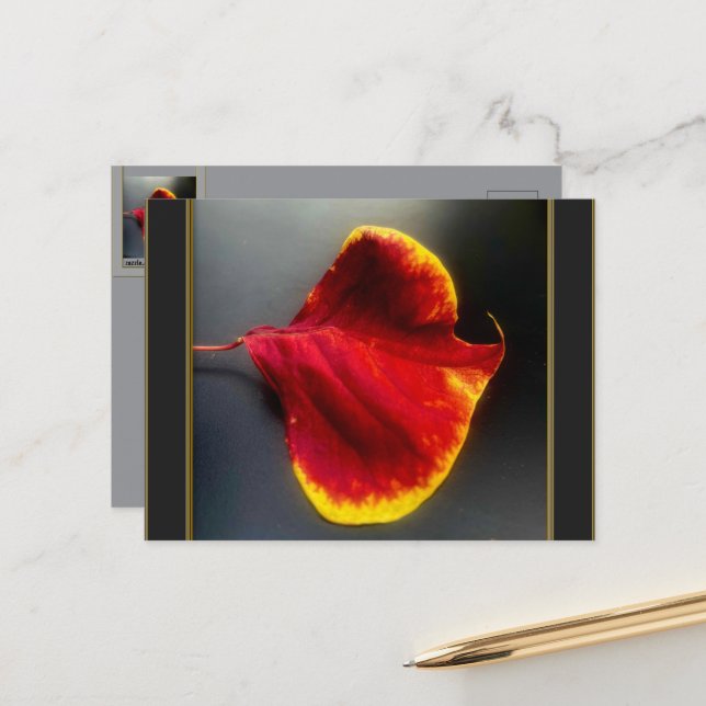 Carte postale de feuilles d'automne (Devant/Arrière en situation)