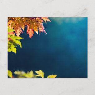 Carte postale de feuilles d'érable automnales sere