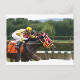 Carte postale de fin course de cheval