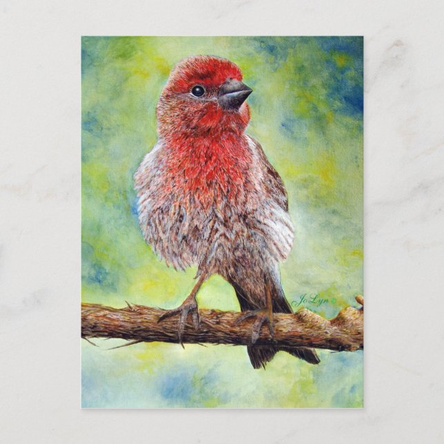 Carte postale de Finchy (Devant)