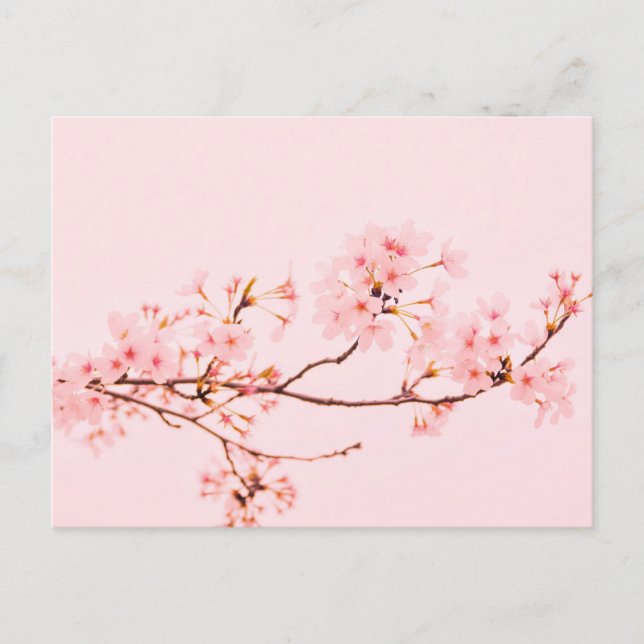 Carte postale de fleur en marbre rose (Devant)