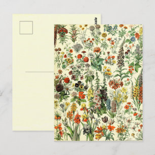 Carte postale de fleurs botaniques vintage