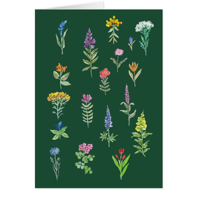 carte postale de fleurs de jardin  (Devant)