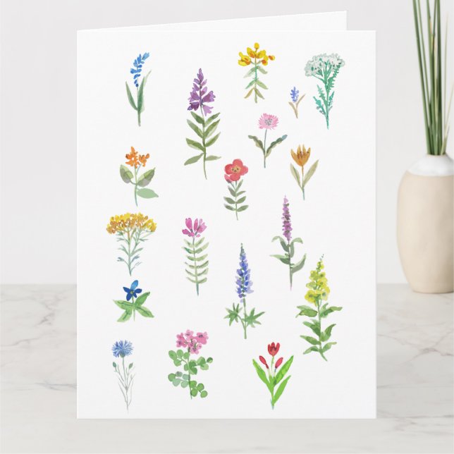 carte postale de fleurs de jardin  (Devant)