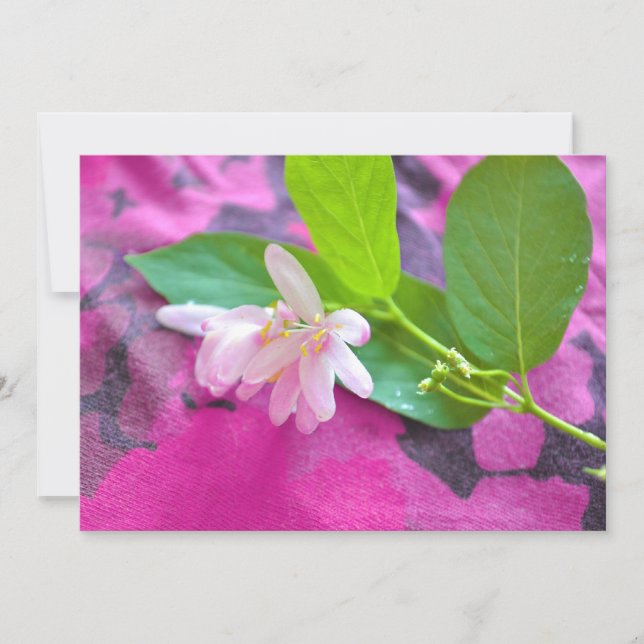 Carte postale de fleurs roses (Devant)