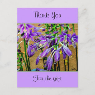 Carte postale de fleurs violettes d'Hosta