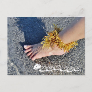 Carte postale de Floride