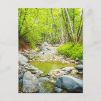 Carte postale de Forest Creek | Œuvre d'art représ