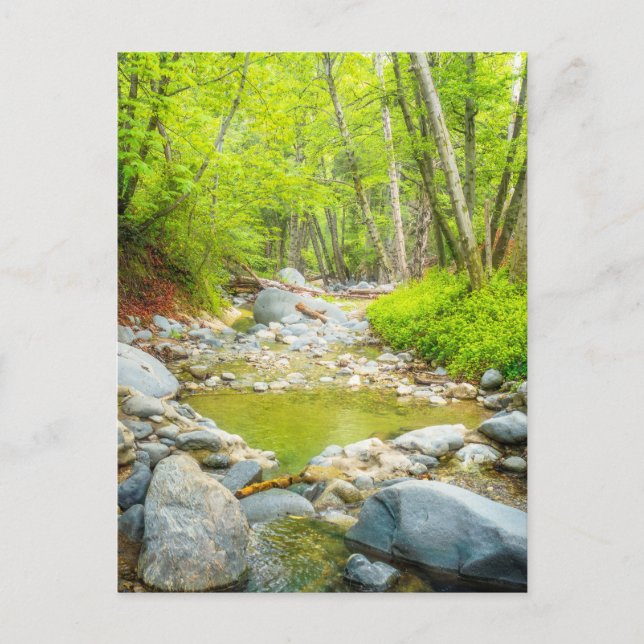 Carte postale de Forest Creek | Œuvre d'art représ (Devant)