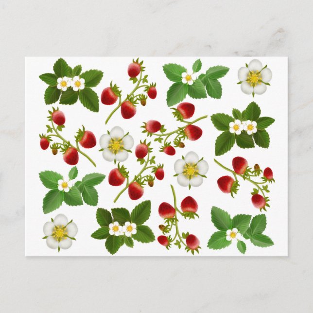 Carte postale de fraises (Devant)