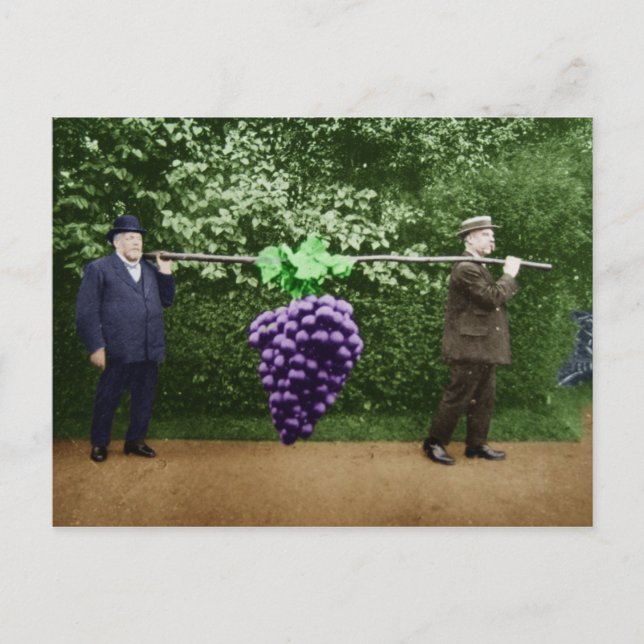 Carte postale de Friar Park #17 (Devant)