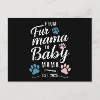 De Fur Mama à Baby Mama Estimé 2025 Chien Chat Mam