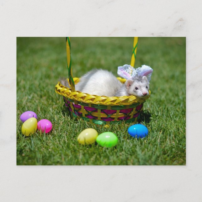 Carte postale de furet de Pâques (Devant)