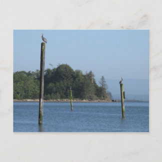 Carte postale de garde