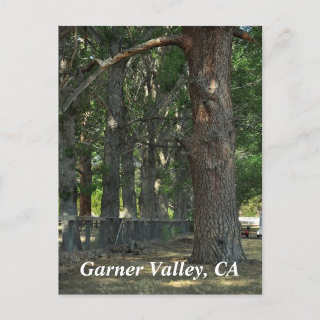 Carte postale de Garner Valley, CA (Devant)