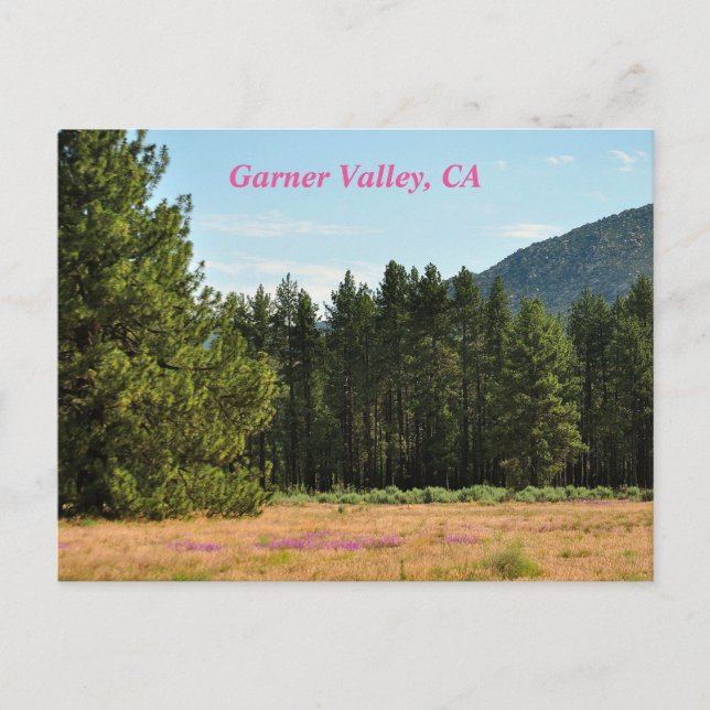 Carte postale de Garner Valley, CA (Devant)