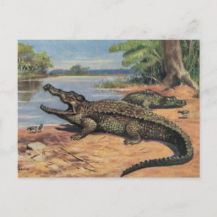 Carte postale de Gator Beach