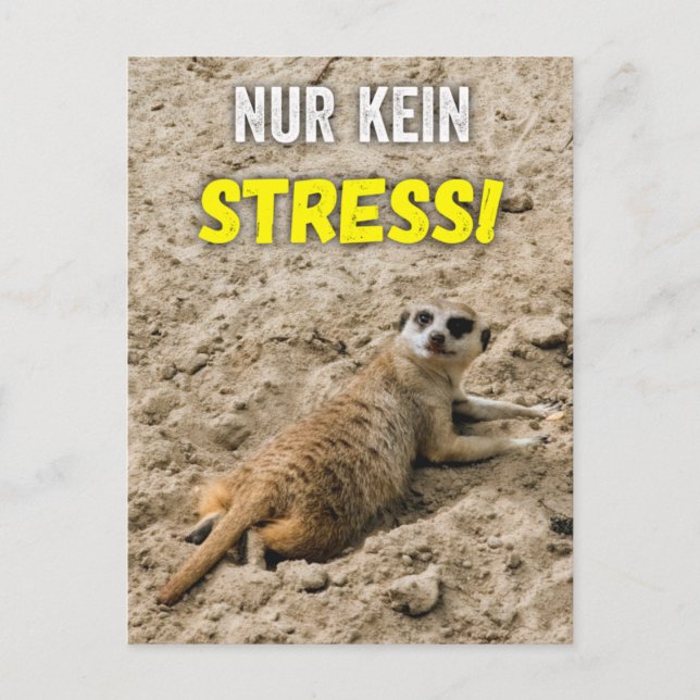 Carte postale de géant "Pas de stress !" Carte pos (Devant)