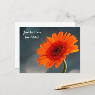 Carte postale de gerbera orange unique