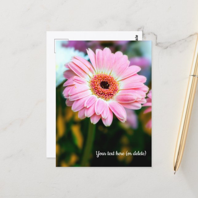 Carte postale de gerbera rose (Devant/Arrière en situation)