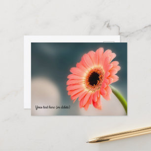 Carte postale de gerbera rose