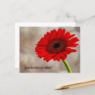 Carte postale de gerbera rouge